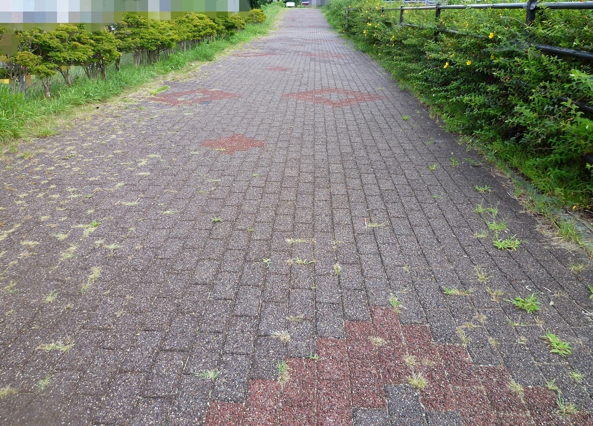 帰り道