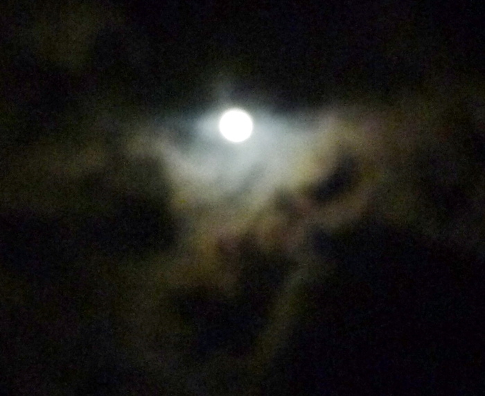 夜の月と雲