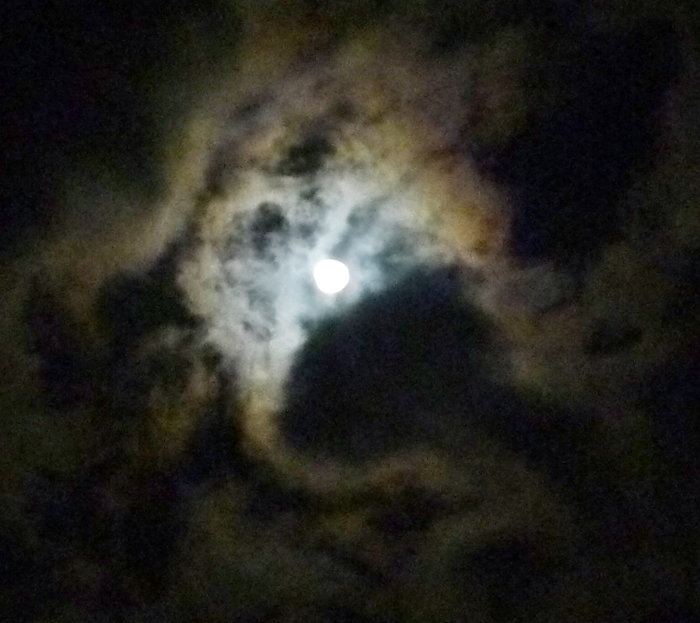 夜の月と雲