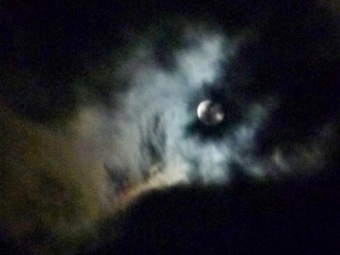 夜の月と雲