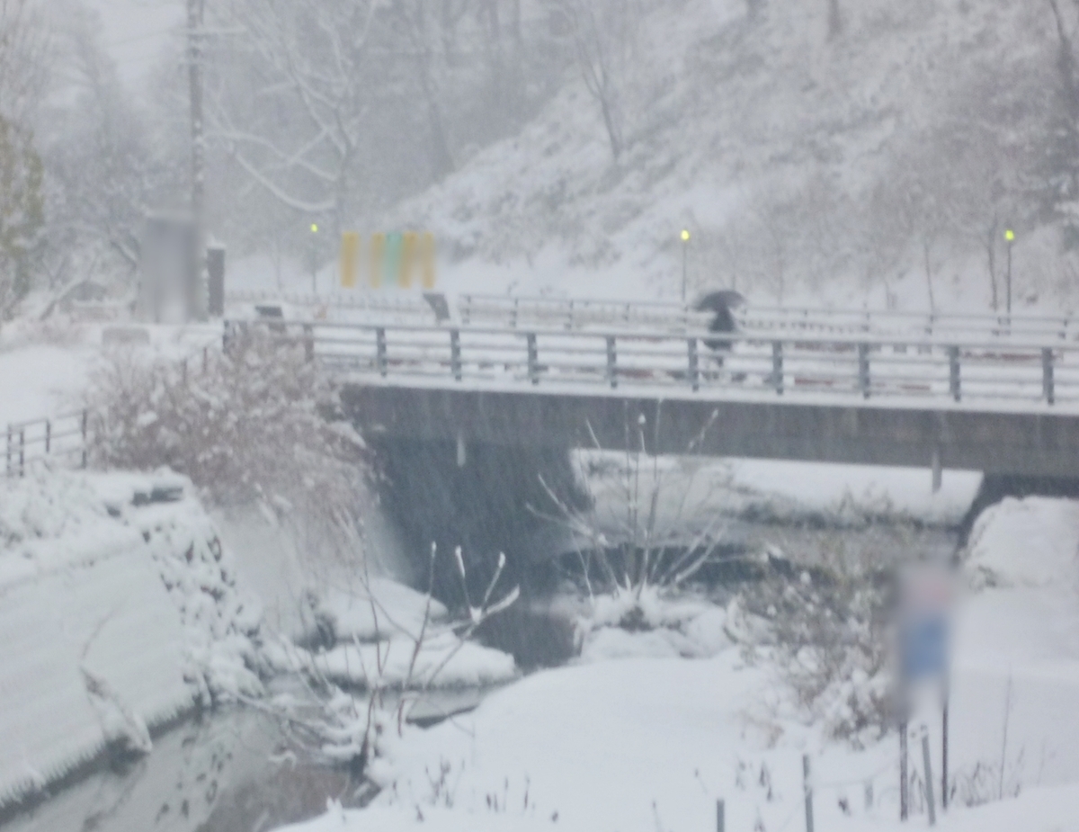 雪景色