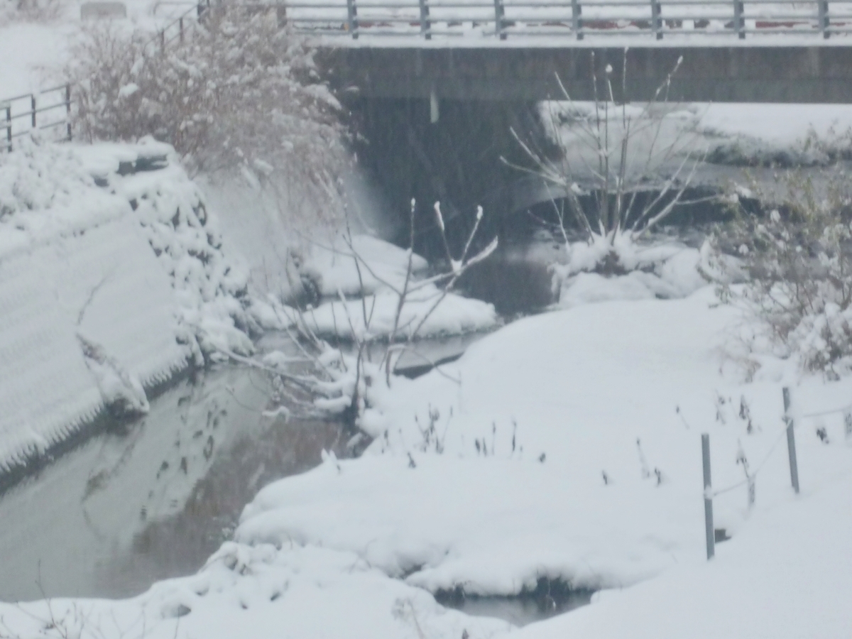 雪景色