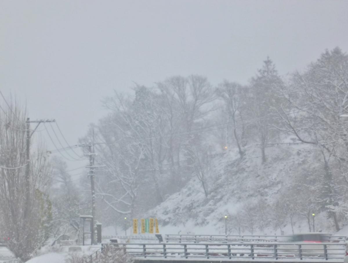 雪景色