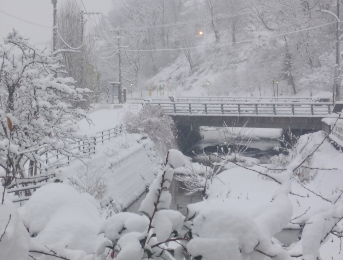 大雪の雪景色