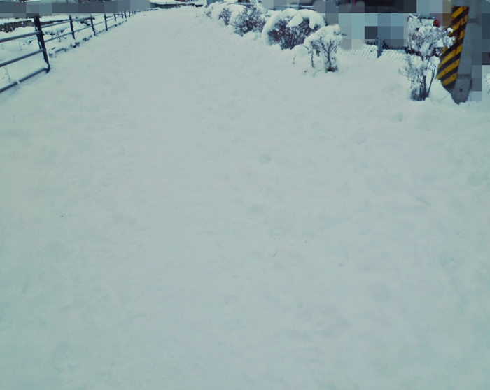 人気のない雪道