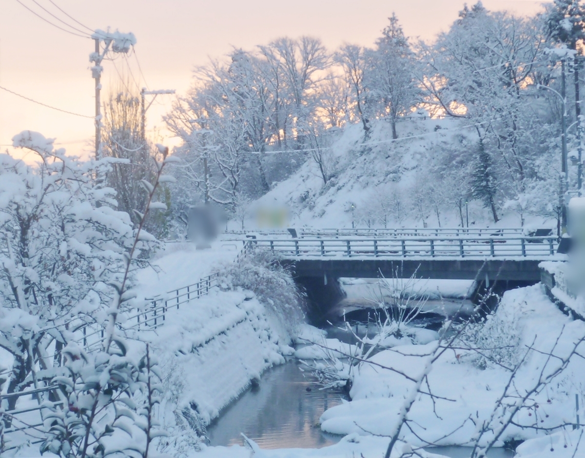 早朝の雪景色