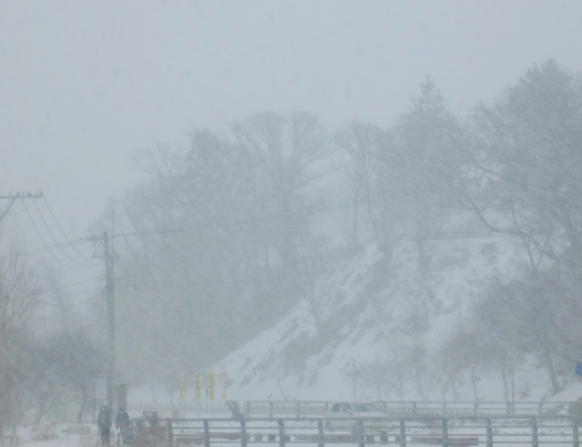 吹雪の雪景色