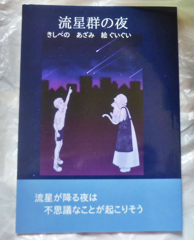 流星群の夜 きしべのあざみ 著