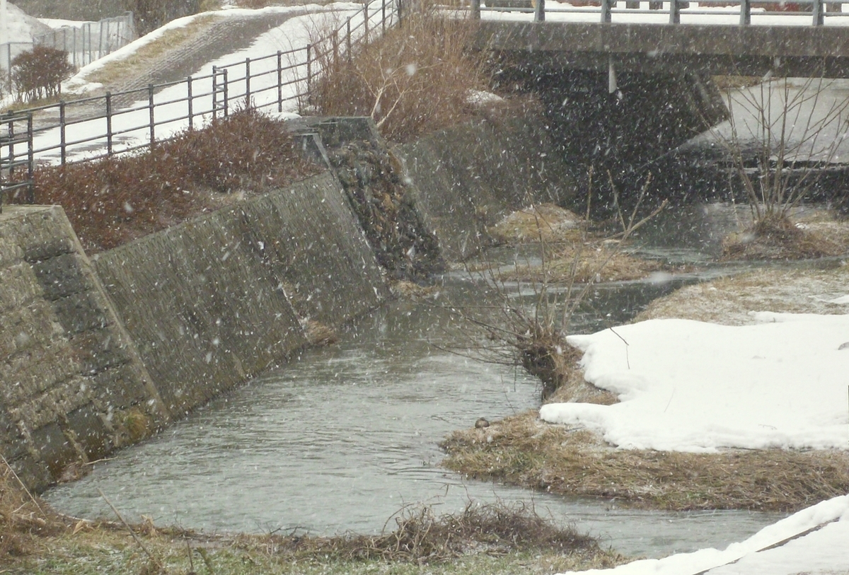 増水した川に降り始める雪