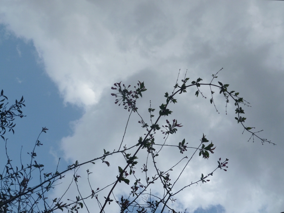 真上の空