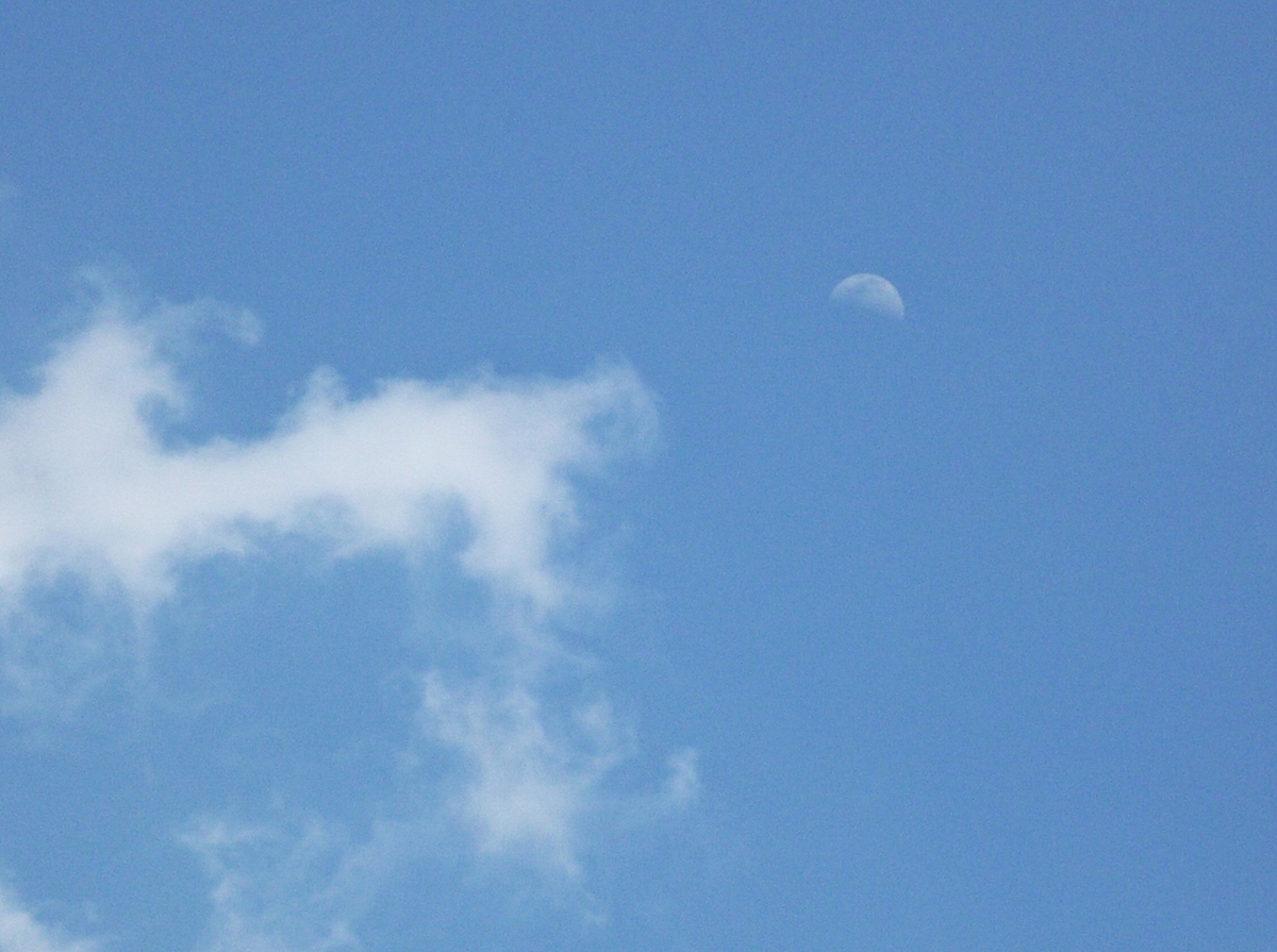 青空と雲と月