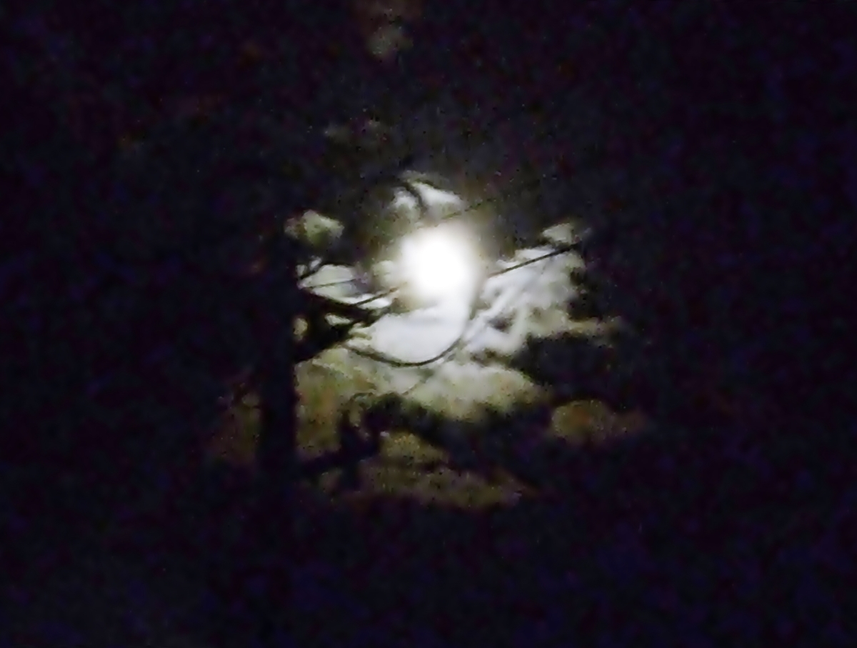 月と雲と電柱