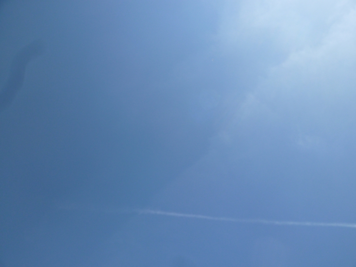 おうち時間 庭 散歩 真上の空
