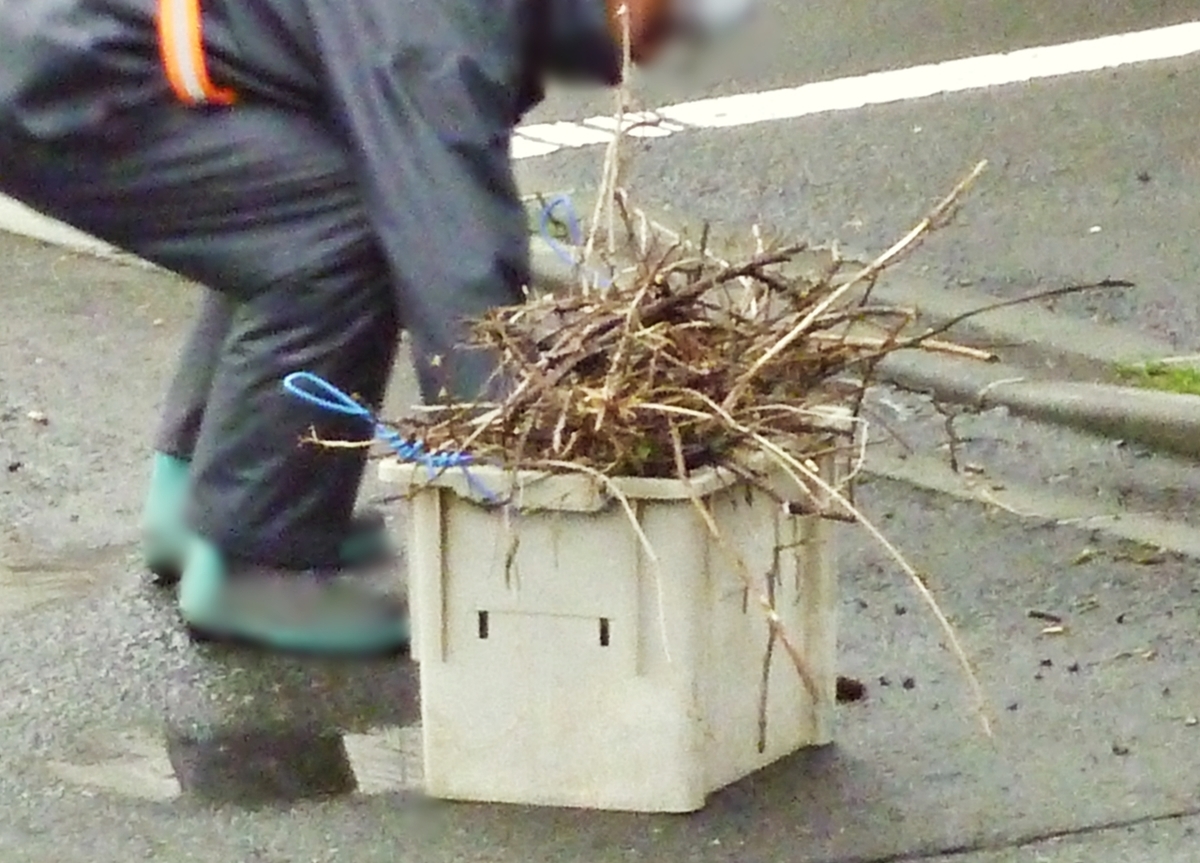 道路の枝を拾う作業