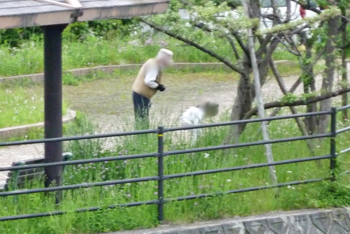 おじいさんとお孫さん