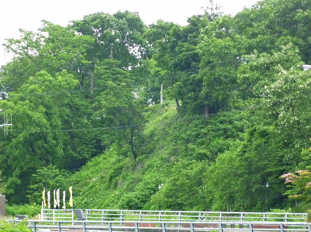 林と斜面