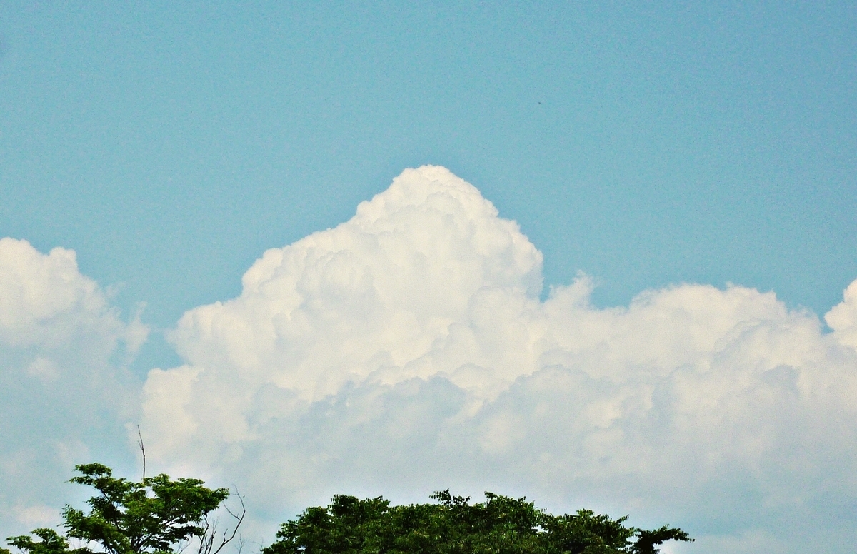 入道雲