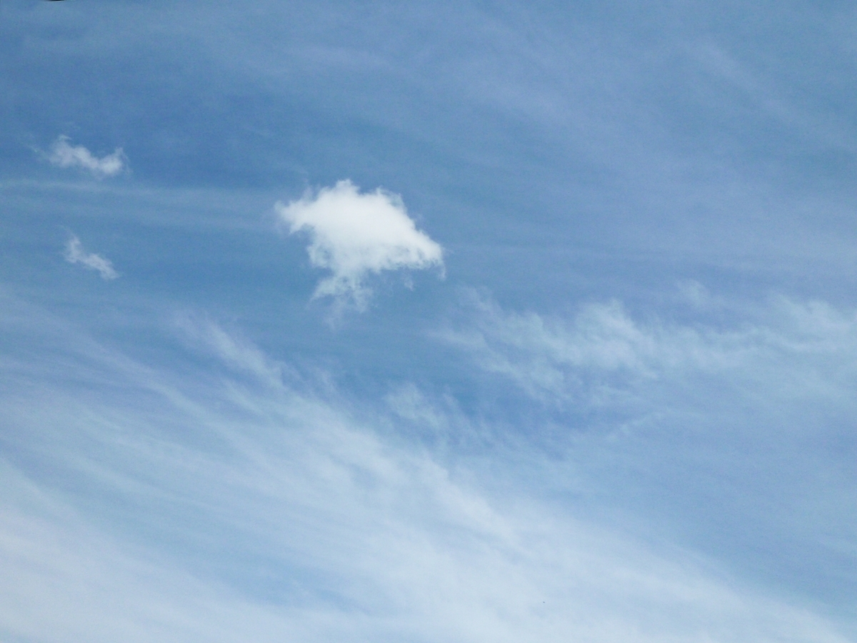 今日の空