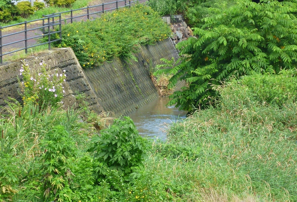 台風通過後の川