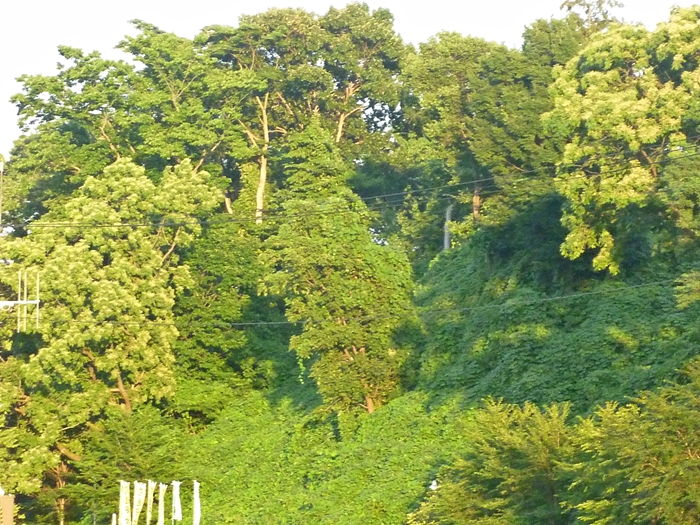 いつもの風景