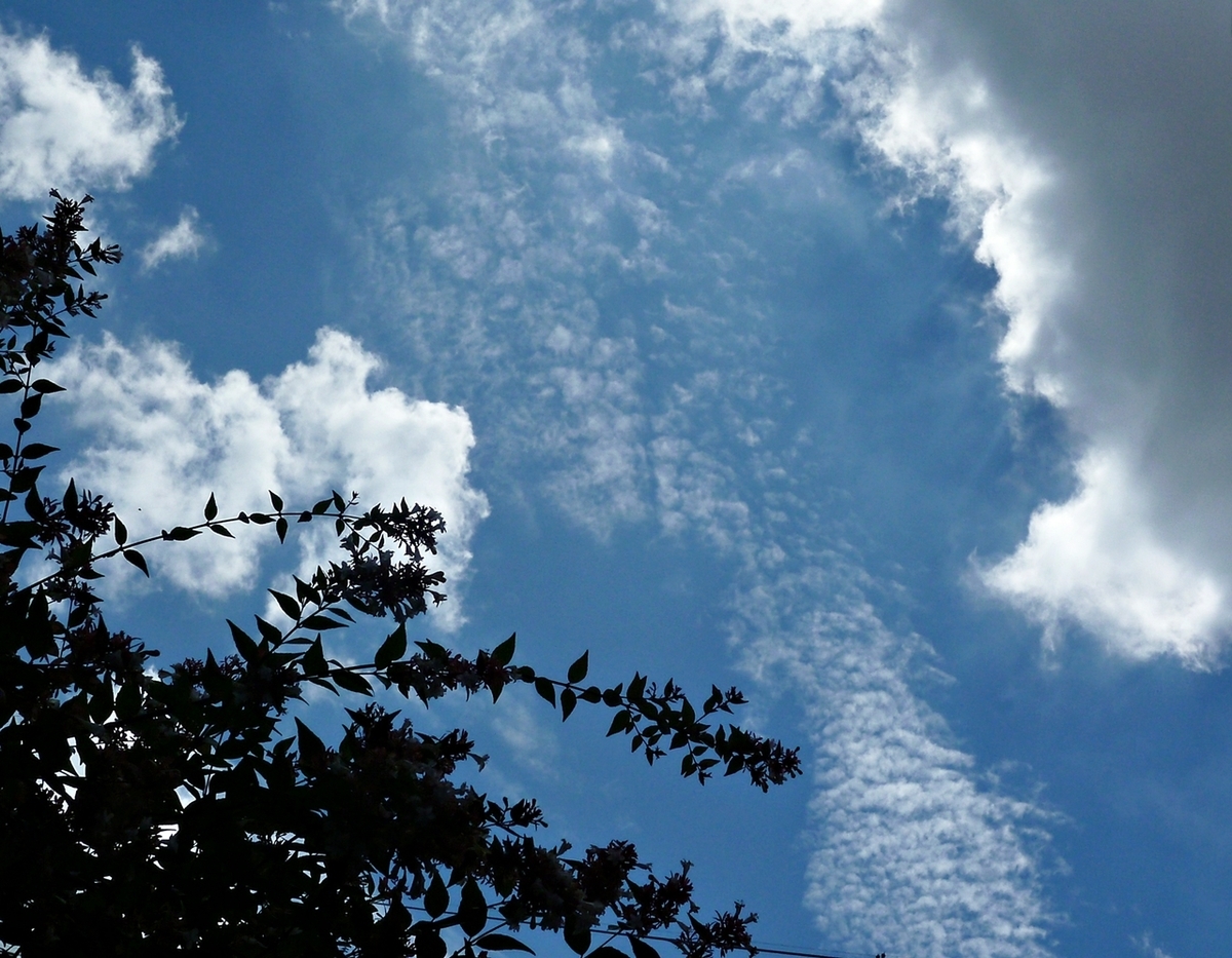 やや真上の空