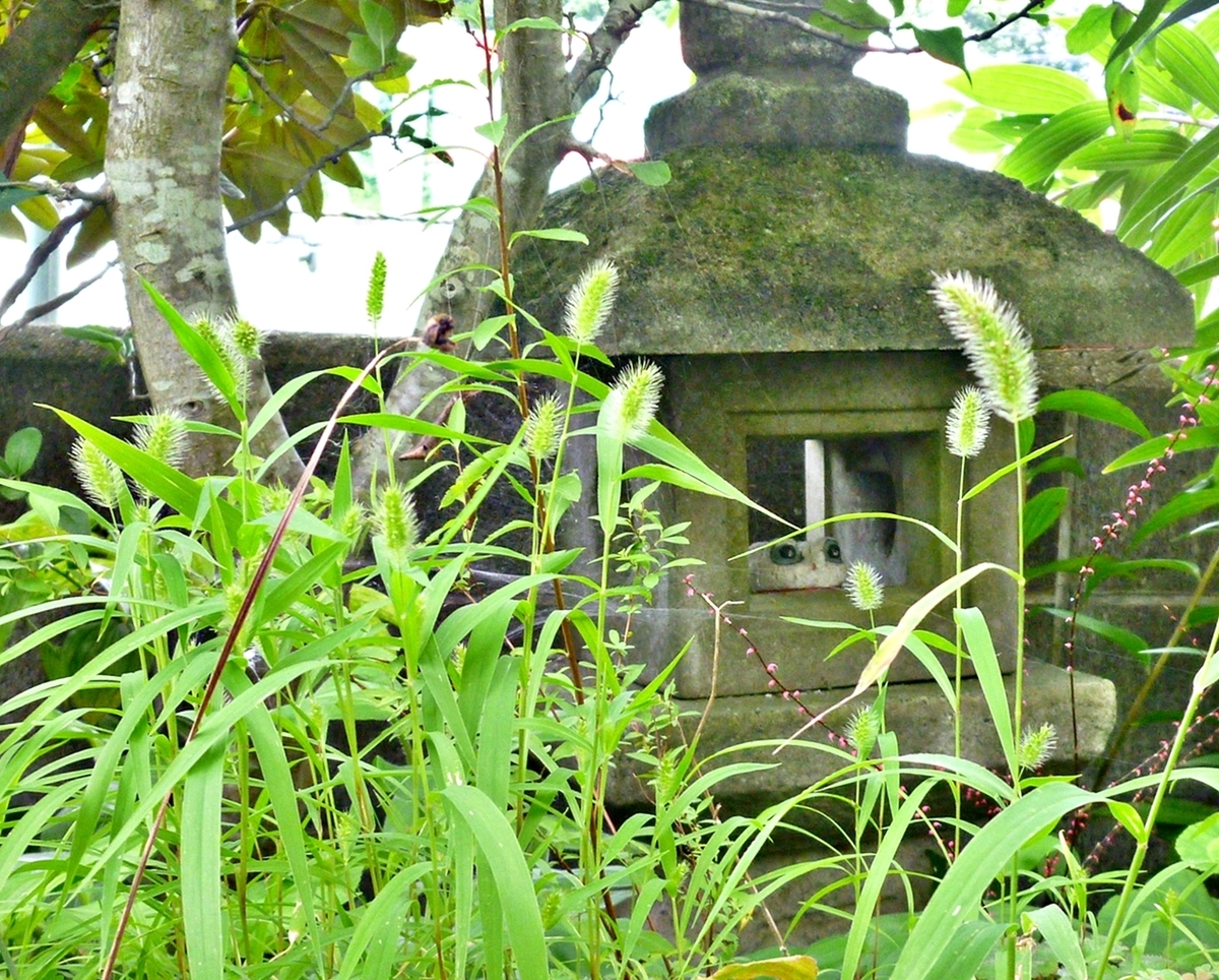 庭の石灯篭とカエルの置物