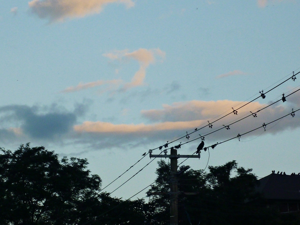 夕暮れ時の雲