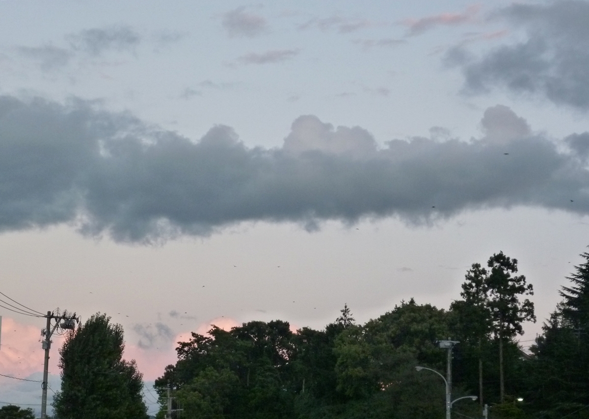 9月の夕景