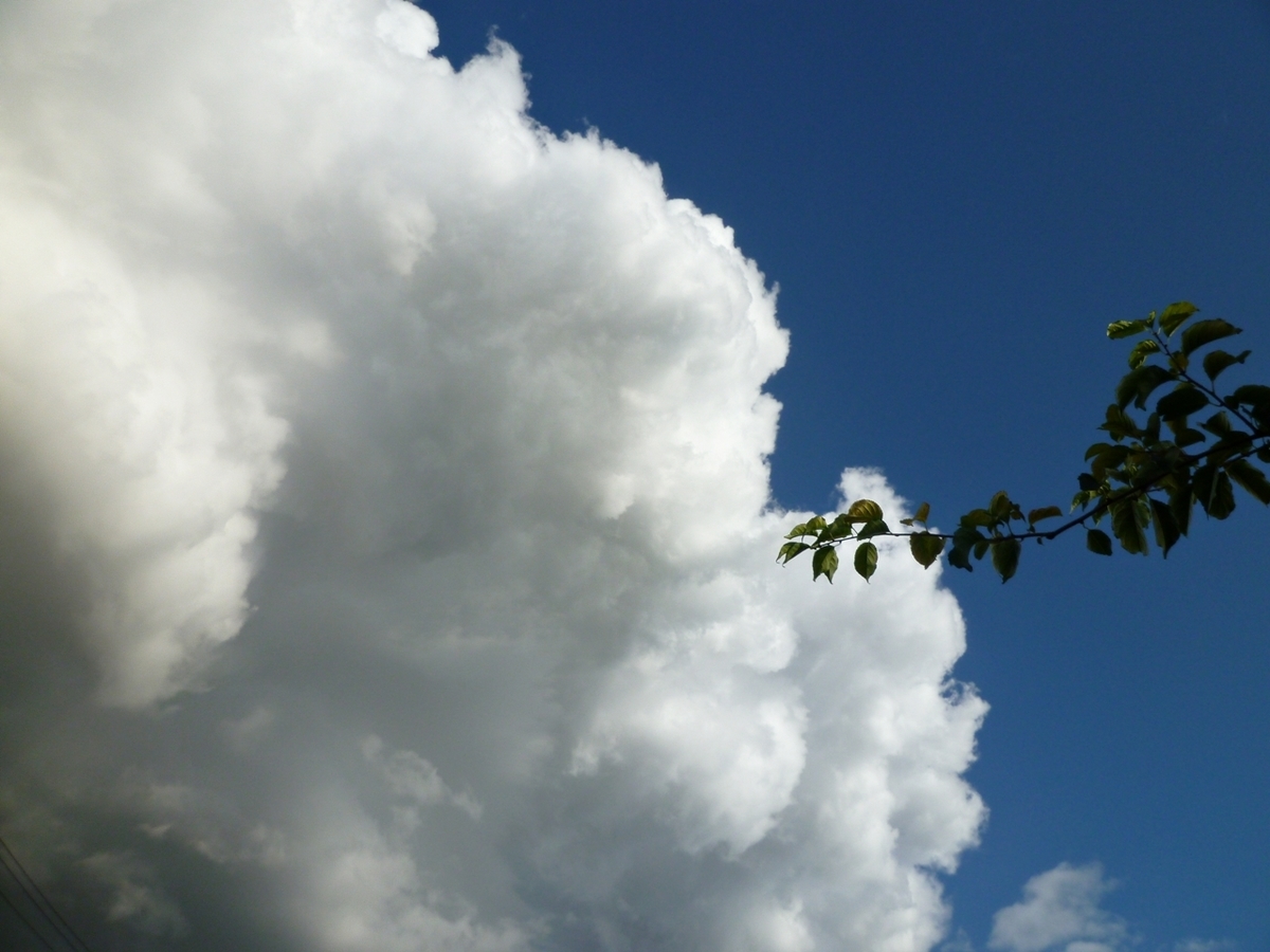 真上の空