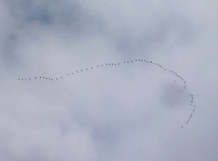 昨日の空模様 曇り