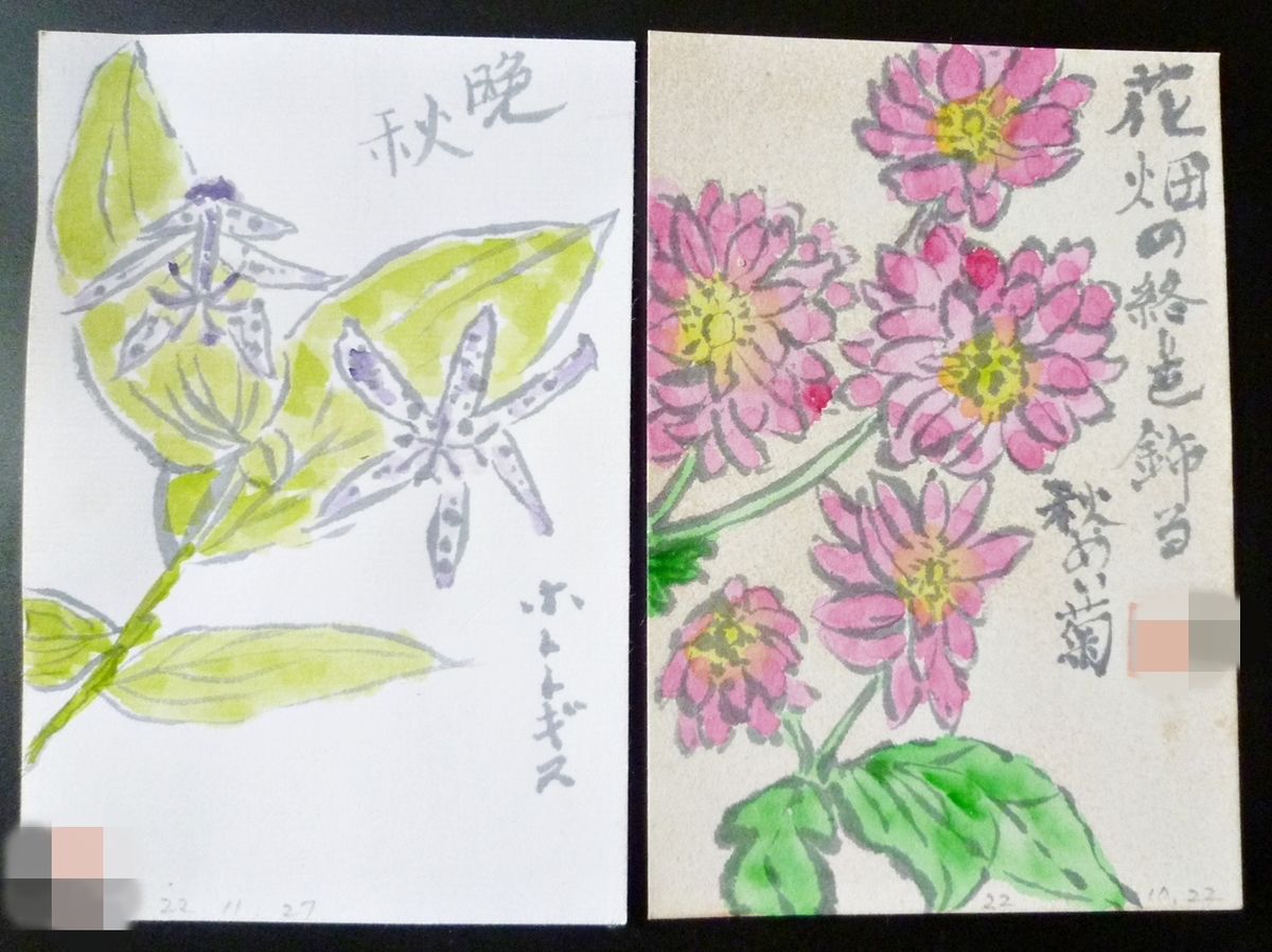 母が遺した絵手紙 シュウメイギク ホトトギスの花