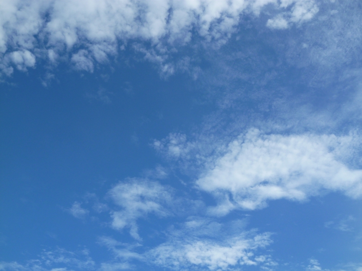 青天を衝け 感想 感想ブログ 吉沢亮 高良健吾 橋本愛 和久井映見