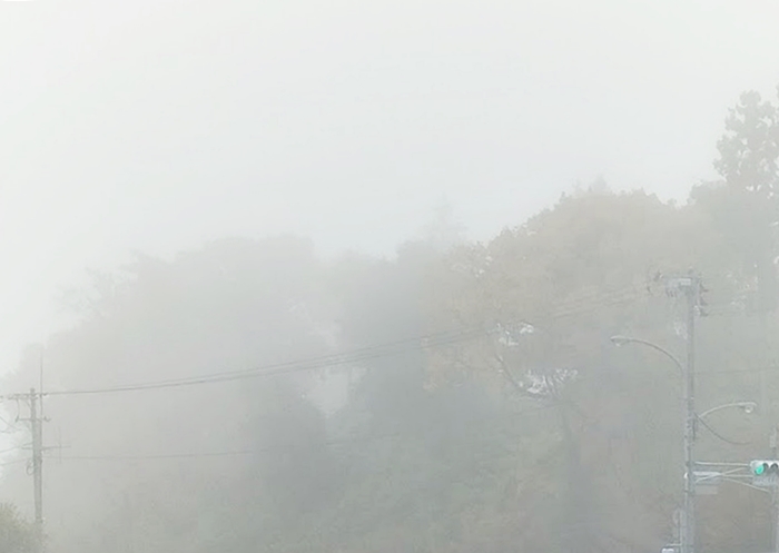 午前8時過ぎの朝もや