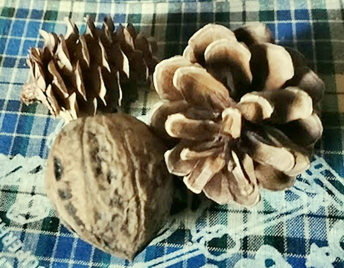 くるみと松ぼっくり