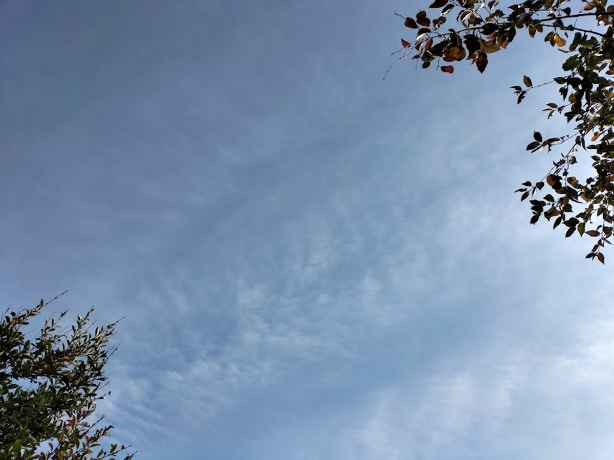 真上の空