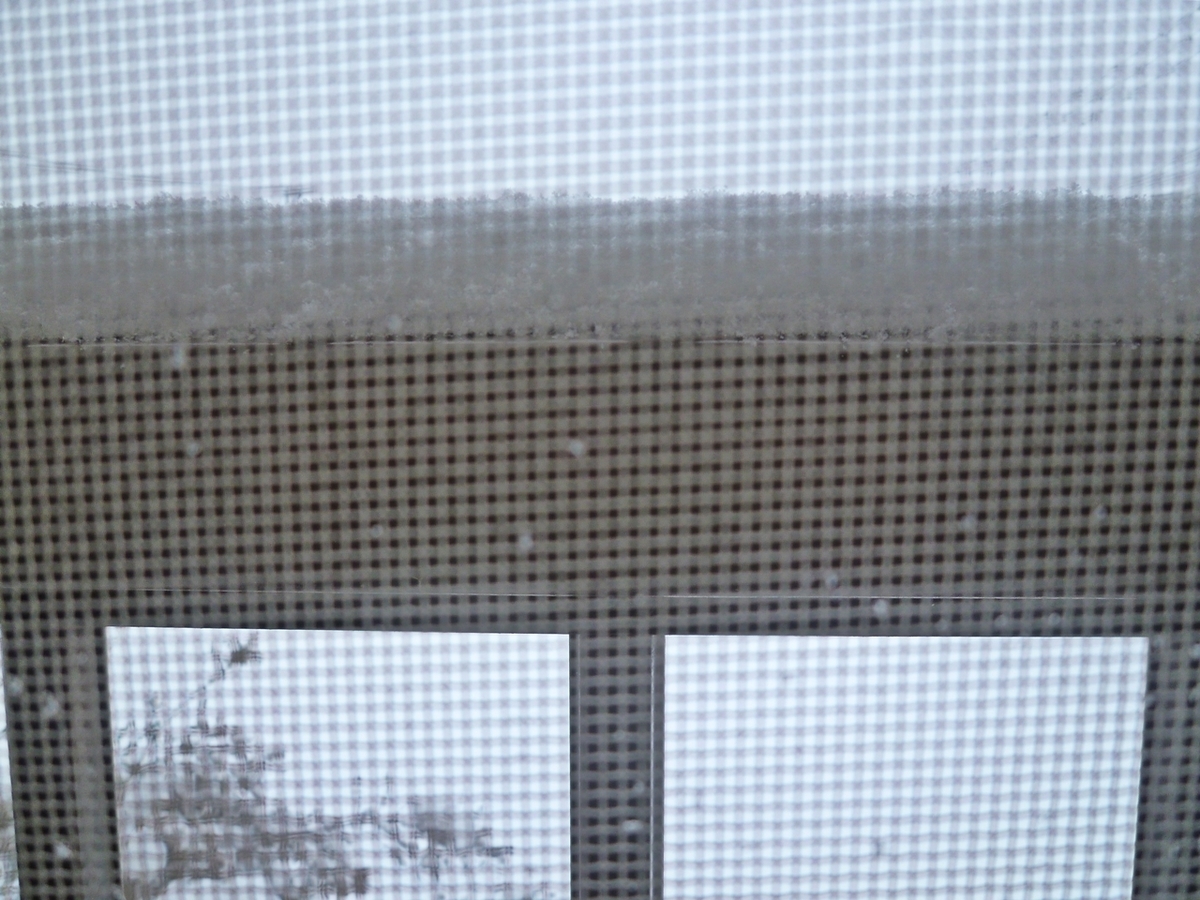 吹雪で網戸が開かなくなった