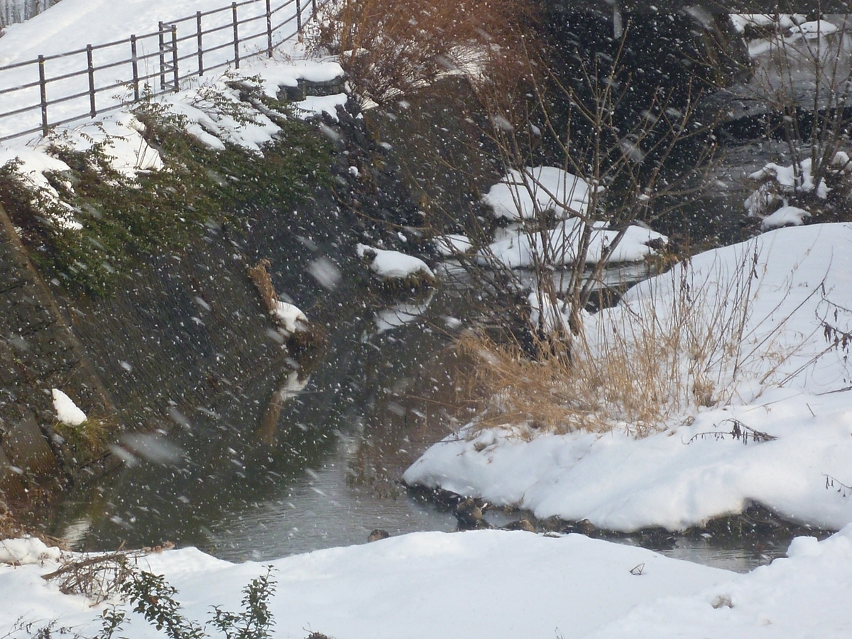 吹雪の川