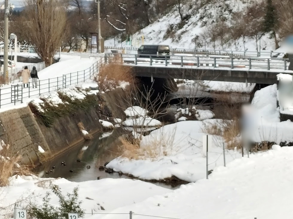 いつもの雪景色