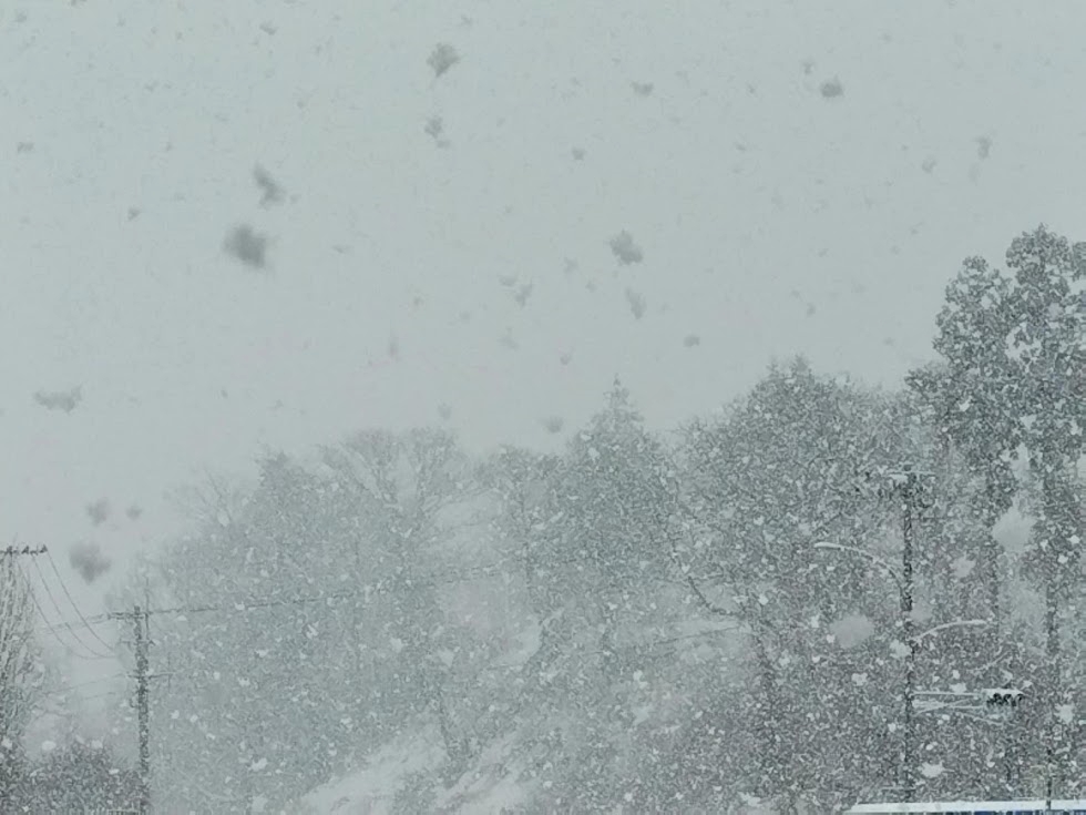 吹雪の日