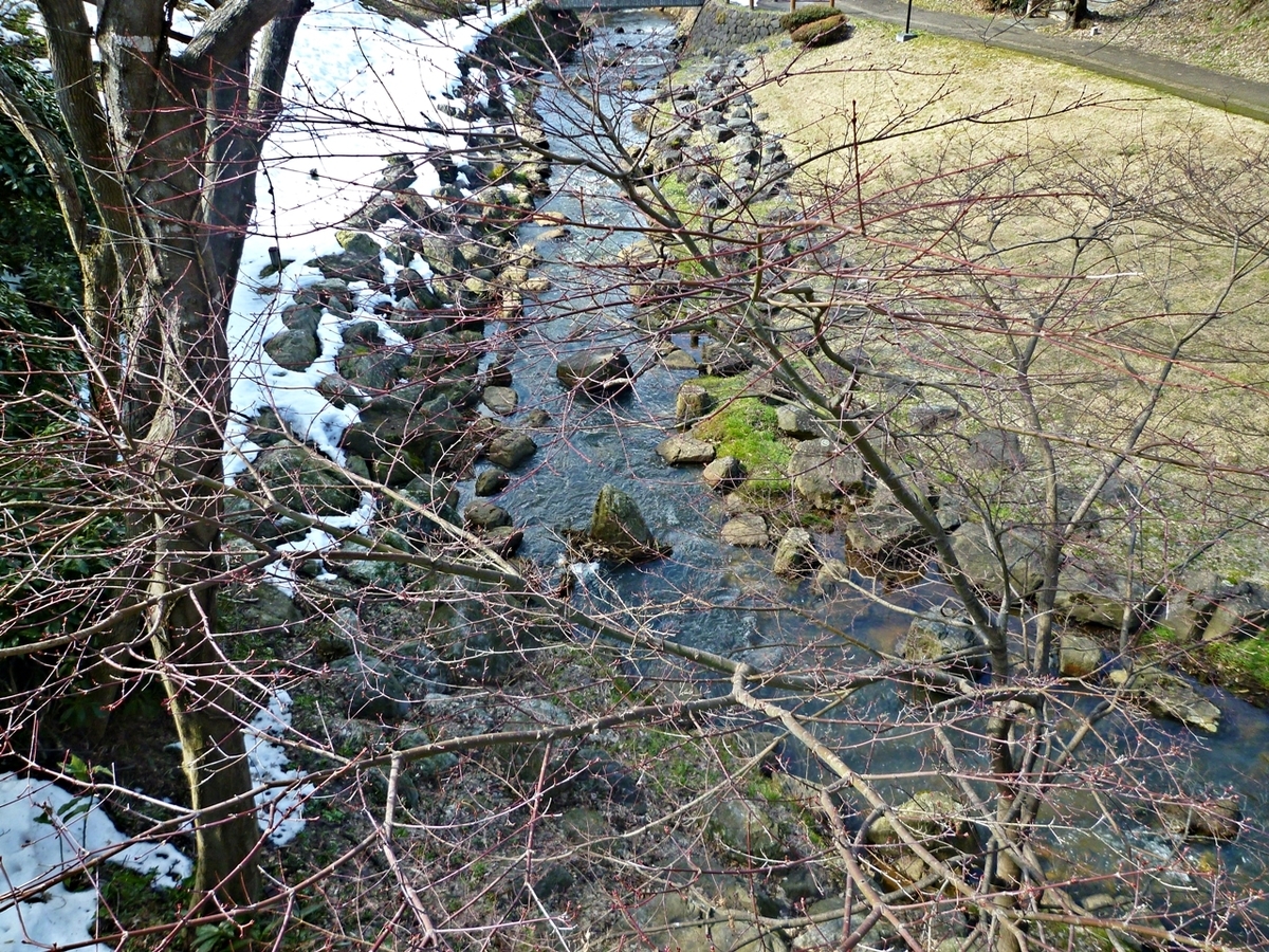 近くの公園
