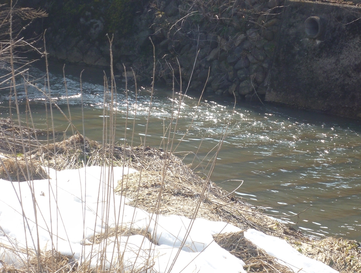 キラキラ光る川面