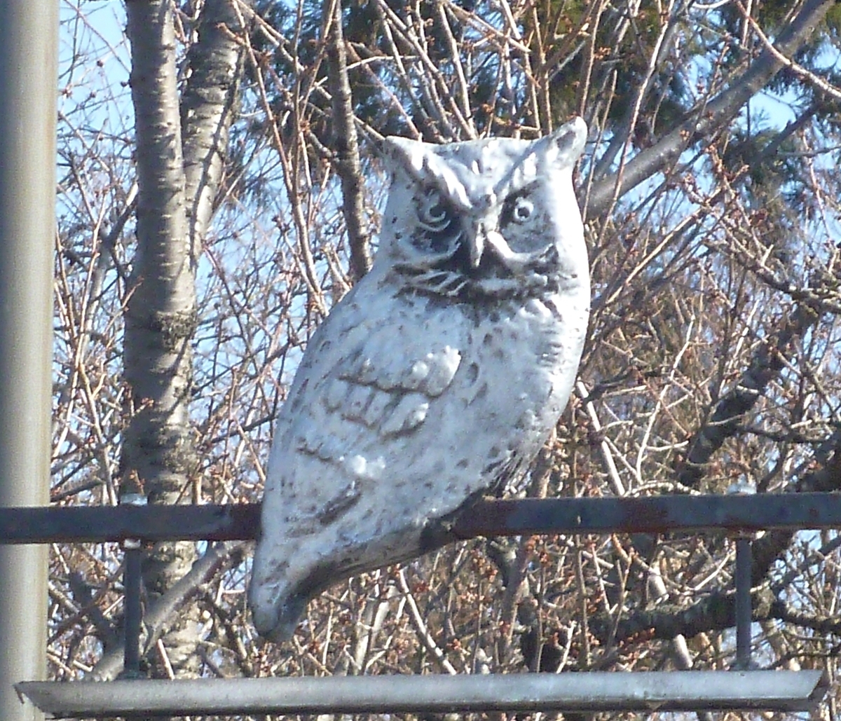 フクロウのオブジェ