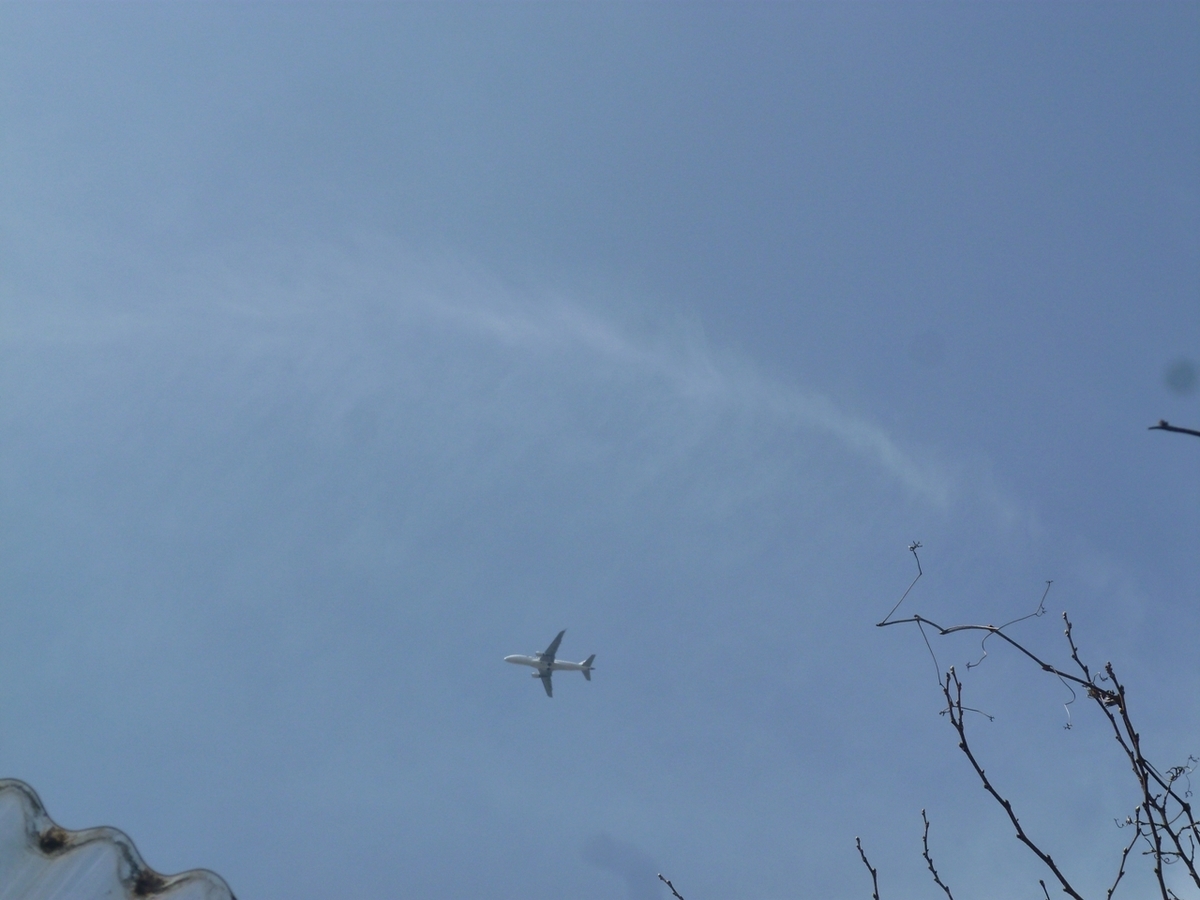 真上の空