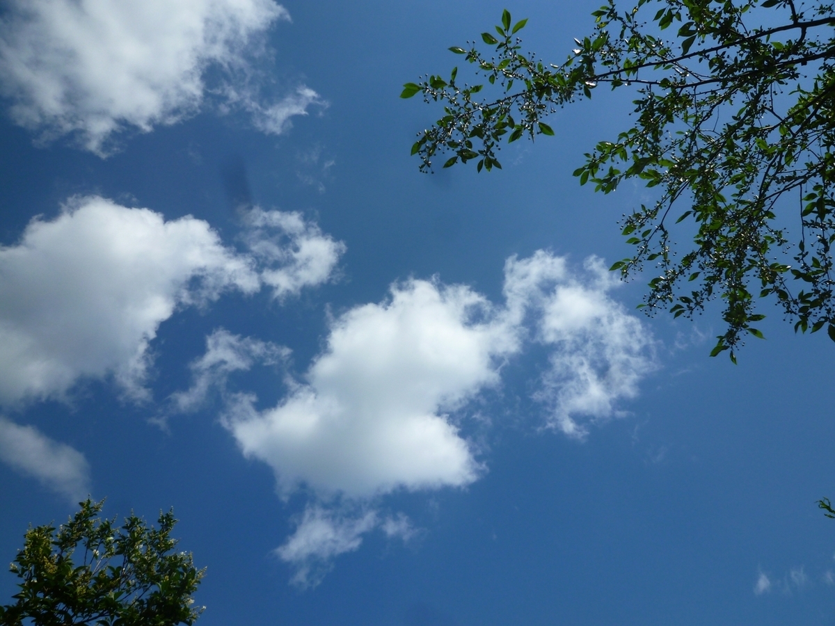 真上の空