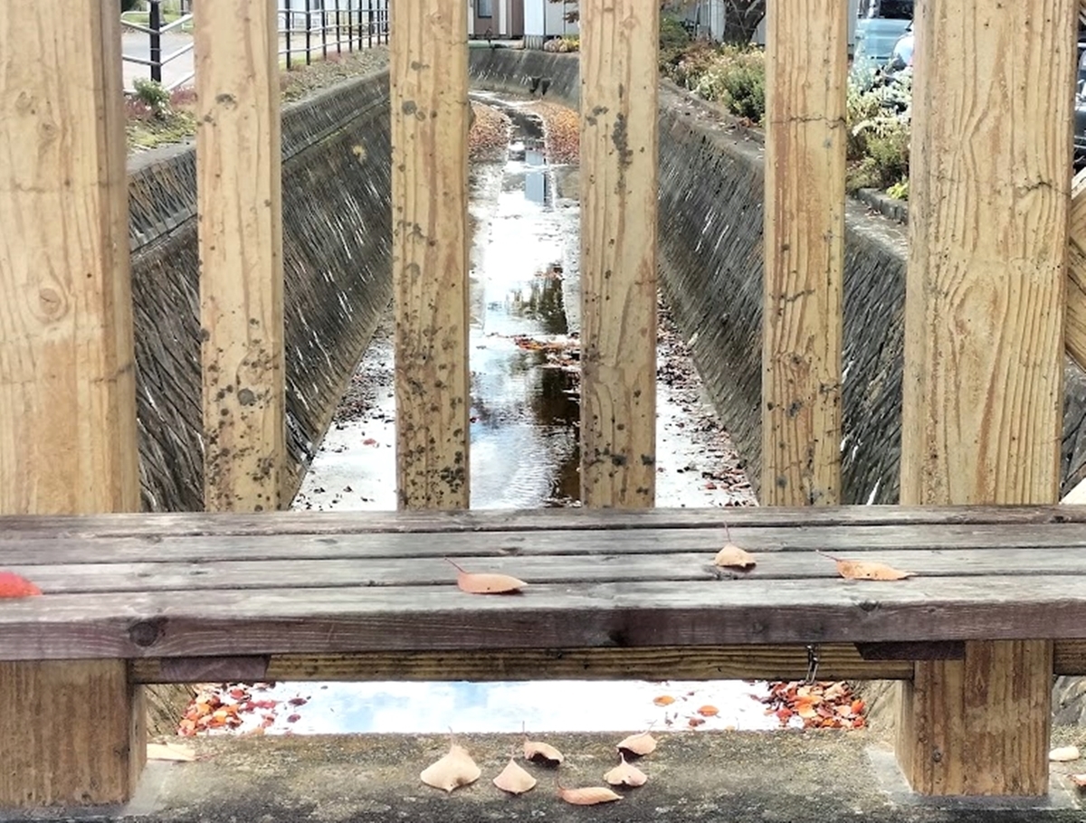 ベンチから見える川