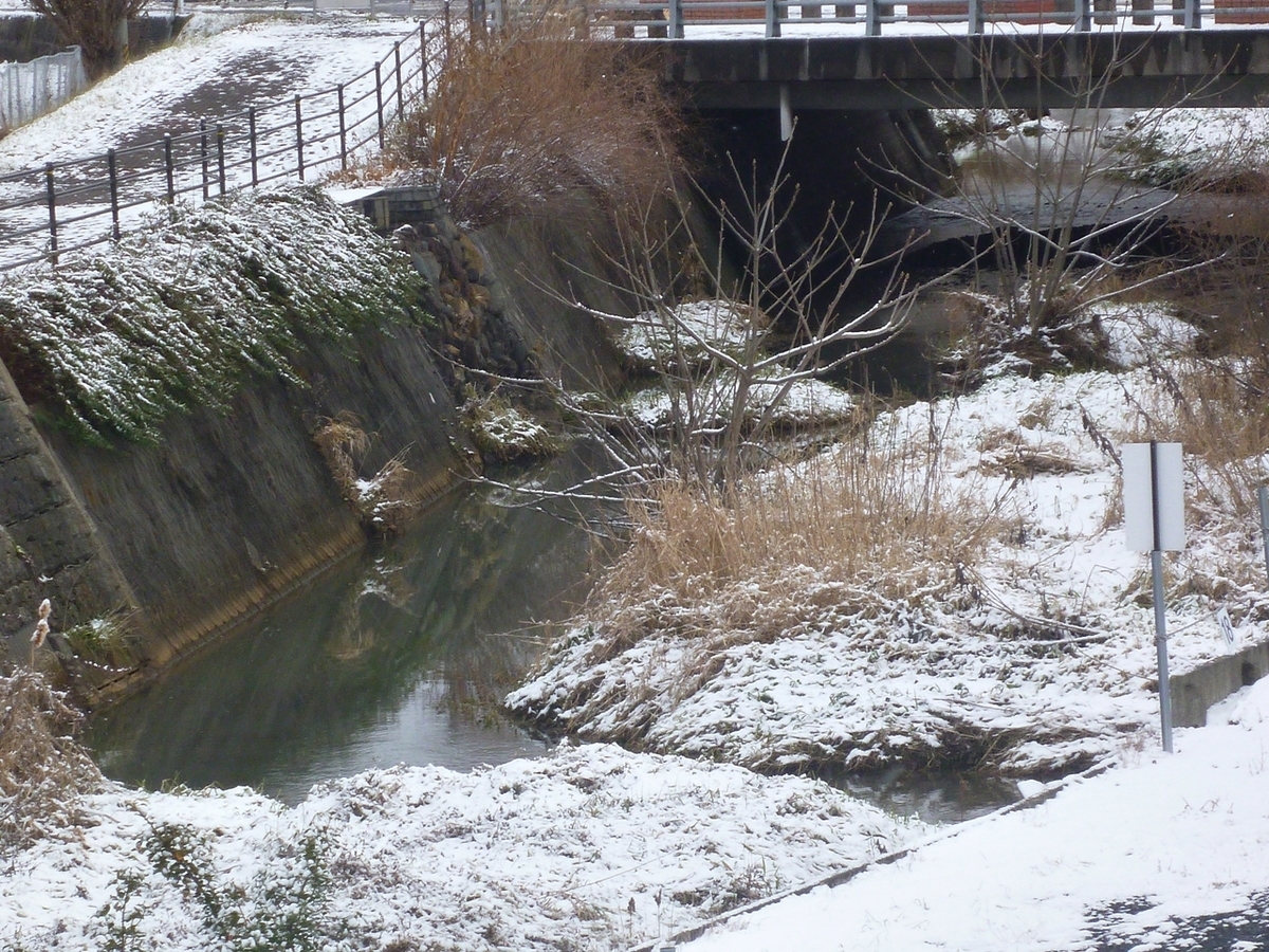 雪景色