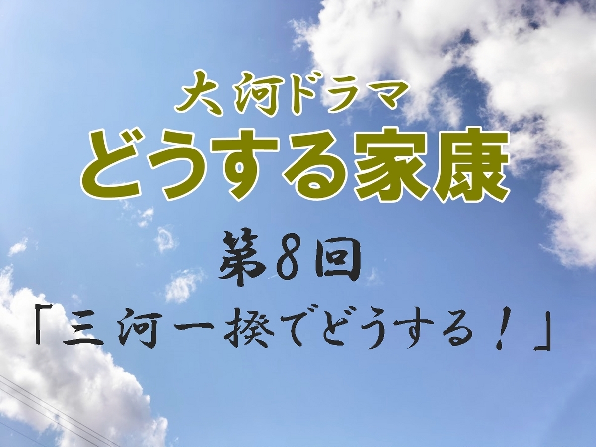 どうする家康 感想 感想ブログ