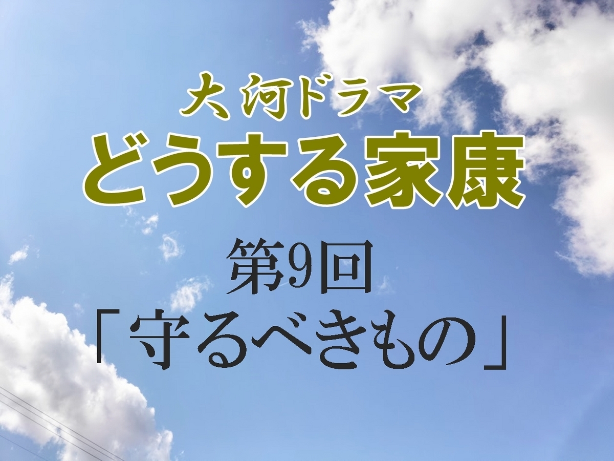 どうする家康 感想 感想ブログ