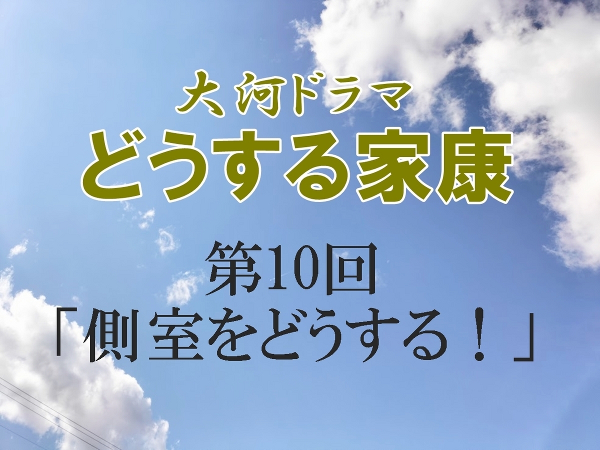 どうする家康 感想 感想ブログ