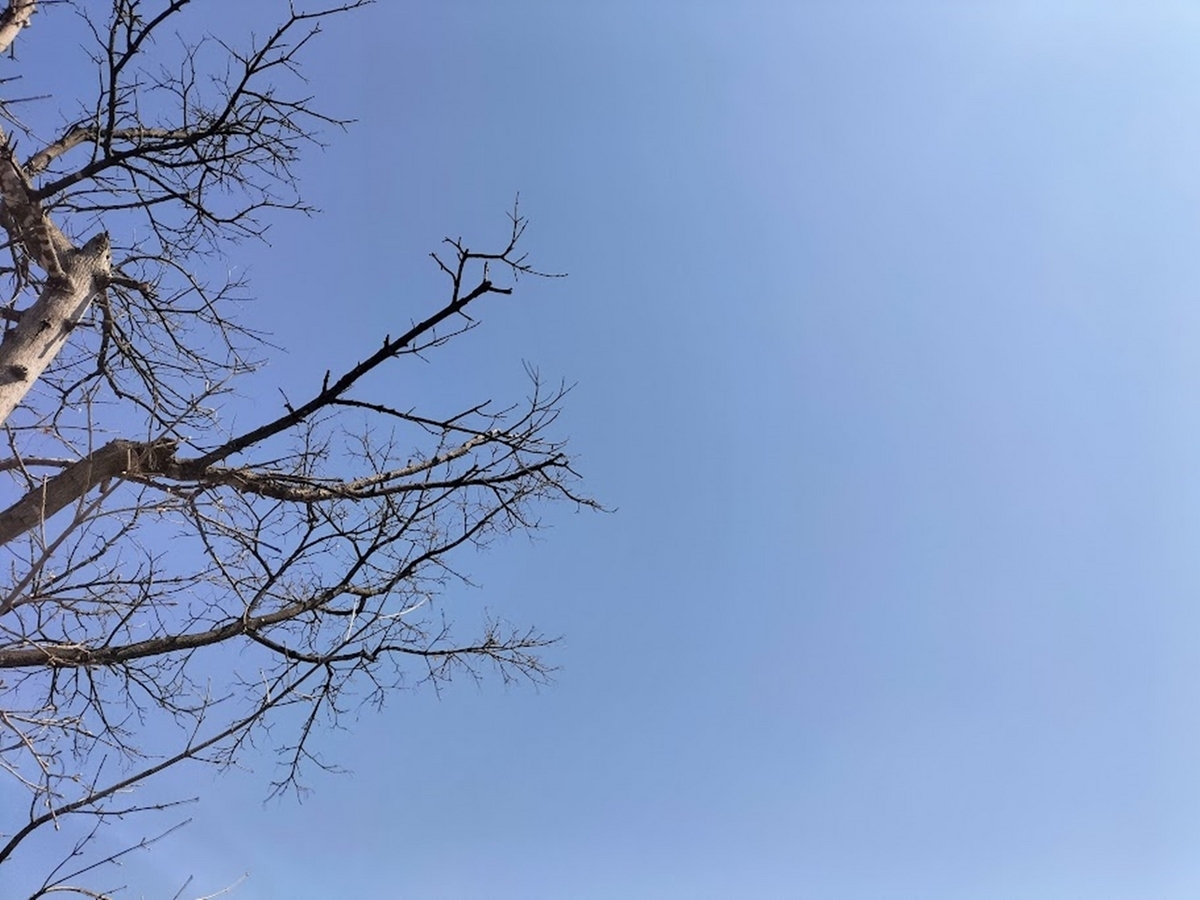 快晴の空